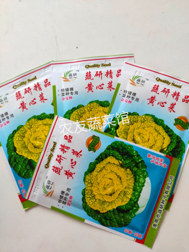 黄心乌种子蔬研精品黄心乌高产抗病耐寒耐贮春秋播
