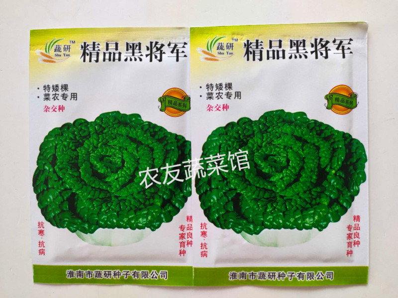 研蔬精品黑将军高产抗病耐寒耐贮春秋播