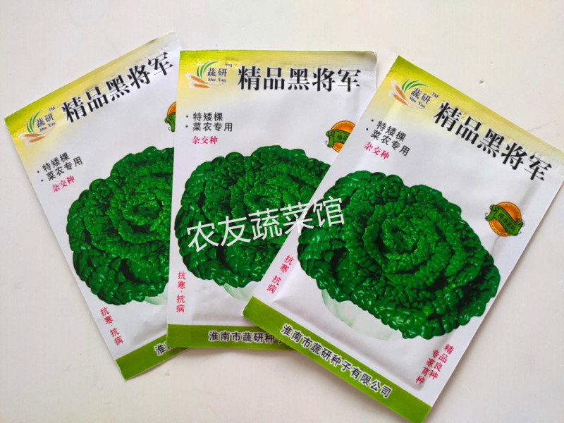 研蔬精品黑将军高产抗病耐寒耐贮春秋播