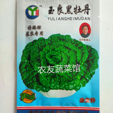 黑心乌种子玉良黑牡丹高产抗病耐寒耐贮春秋播优质乌塌菜种籽