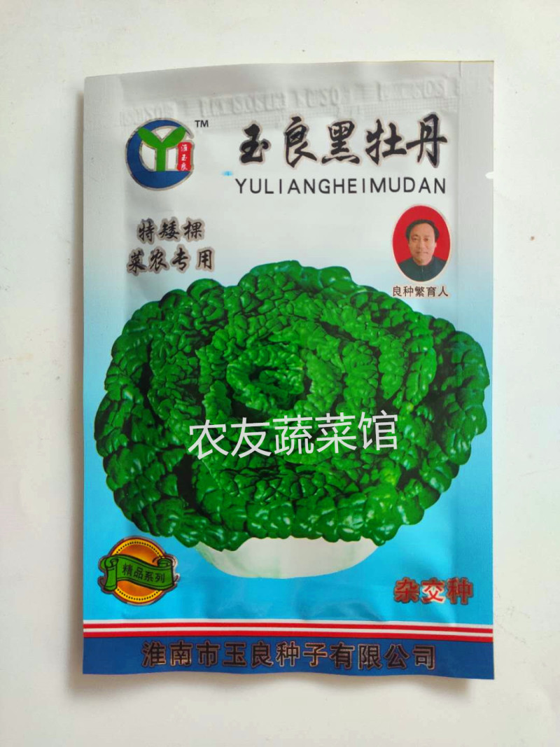 黑心乌种子玉良黑牡丹高产抗病耐寒耐贮春秋播优质乌塌菜种籽