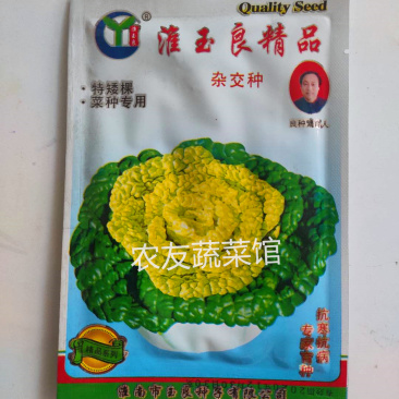 黄心乌种子玉良精品黄心菜高产抗病耐寒耐贮春秋播