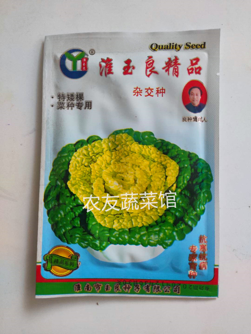 黄心乌种子玉良精品黄心菜高产抗病耐寒耐贮春秋播