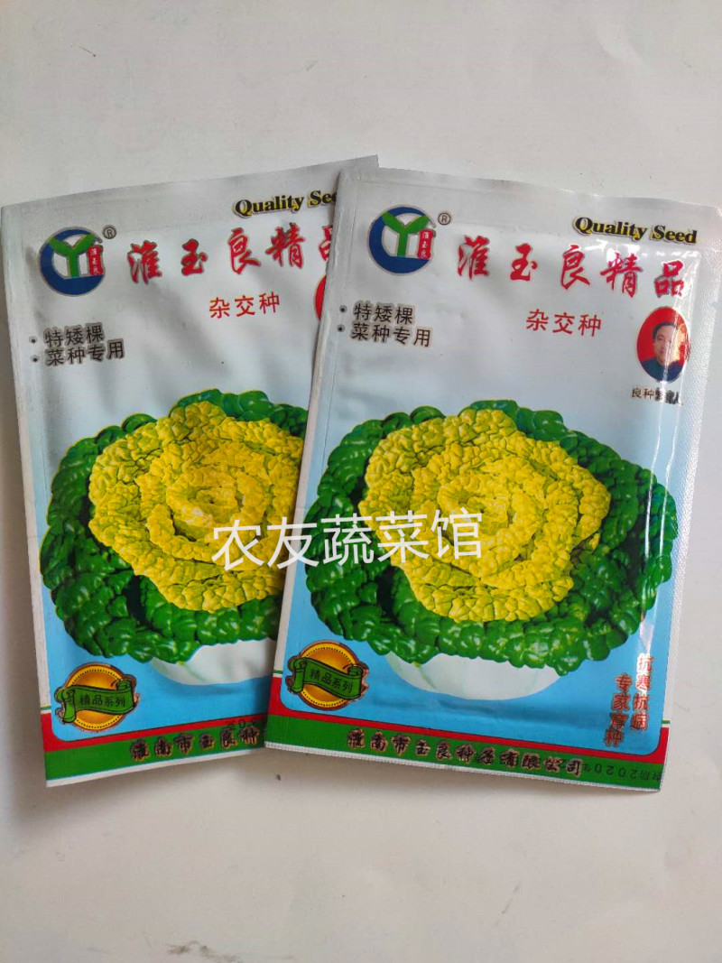黄心乌种子玉良精品黄心菜高产抗病耐寒耐贮春秋播