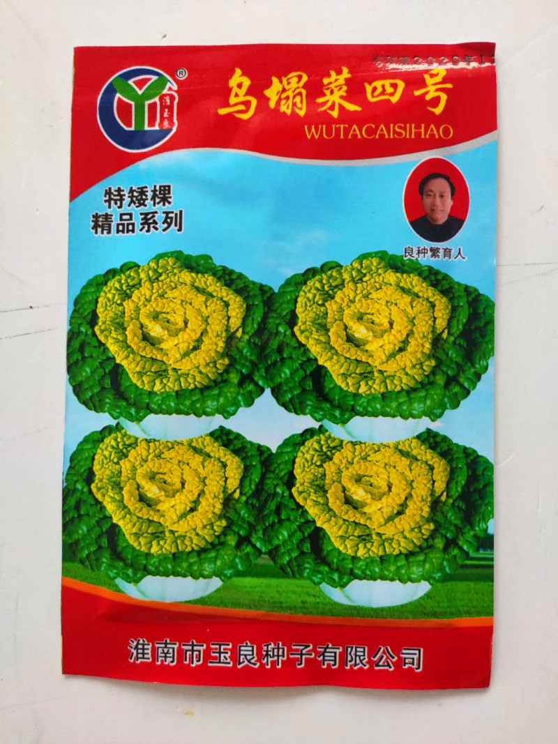 黄心乌种子玉良乌塌菜四号高产抗病耐寒耐贮春秋播
