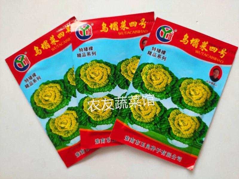 黄心乌种子玉良乌塌菜四号高产抗病耐寒耐贮春秋播