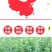 红美人醉李子树苗南方北方种植特大早熟晚熟无核蜂糖当年结果