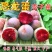 早熟无核恐龙蛋李脆甜红心李子树苗南北方种植当年挂果