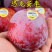 早熟无核恐龙蛋李脆甜红心李子树苗南北方种植当年挂果