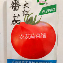 合作903大红蕃茄种子早熟有限生长高产抗病
