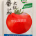 合作903大红蕃茄种子早熟有限生长高产抗病