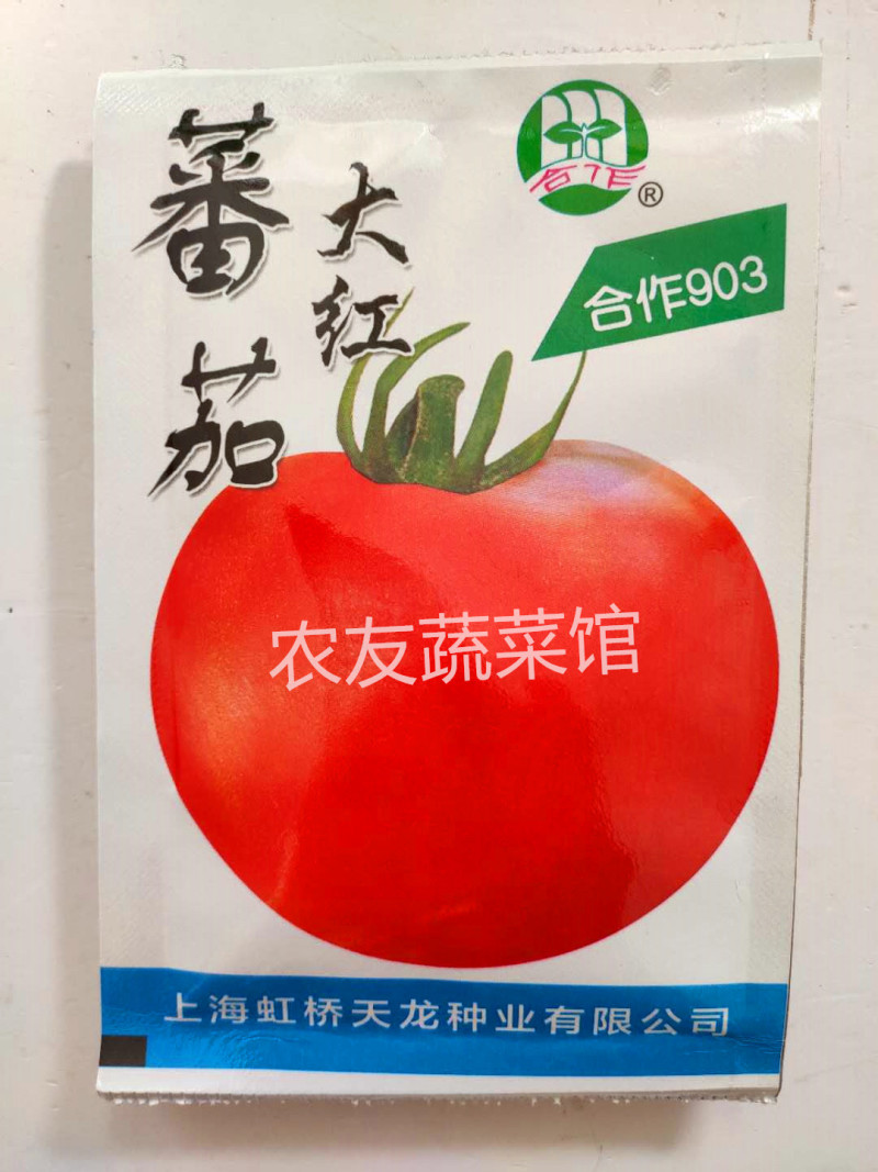 合作903大红蕃茄种子早熟有限生长高产抗病