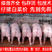 山东仔猪苗猪常年大量供应猪场直销欢迎选购