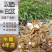 精品四川小白芨（白及苗）产地直供鲜货只有价廉欢迎电联
