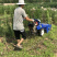 公园杂草碎草机厂家直销柴油碎草机手推碎草还田机