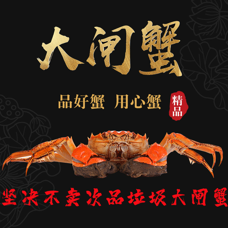 【中秋蟹礼】洪泽湖大闸蟹超值特惠礼盒支持一件代发团购