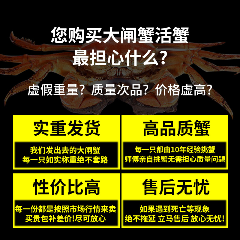 【中秋蟹礼】洪泽湖大闸蟹超值特惠礼盒支持一件代发团购