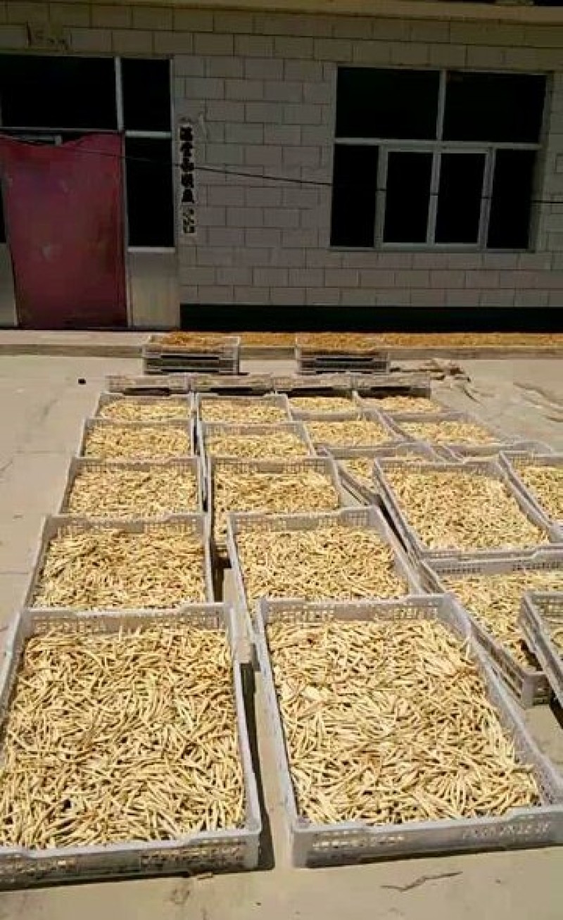 【精品】宁夏大白条黄花菜产地直销干货无硫保质保量