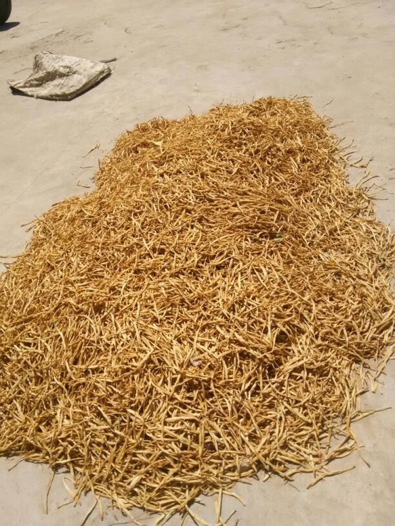 【精品】宁夏大白条黄花菜产地直销干货无硫保质保量
