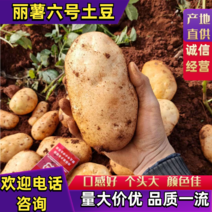 【热销》土豆红沙土陆良丽薯六号自产自销大量上市欢迎商超