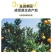 湖北宜昌秭归脐橙长虹脐橙黄心脐橙果园直发，电商**