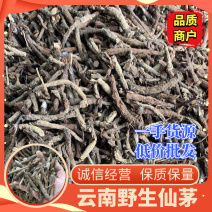 仙茅云南野生仙茅小棕根干货包含量30斤包邮