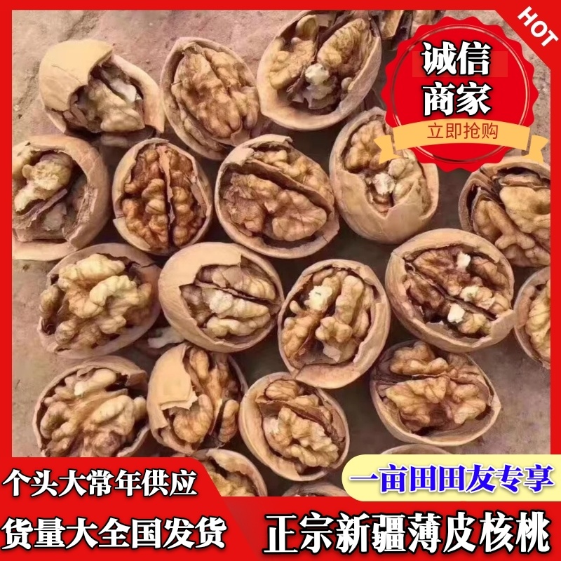 新疆核桃/新疆薄皮核桃，质量好，货量大优质核桃，全国发货