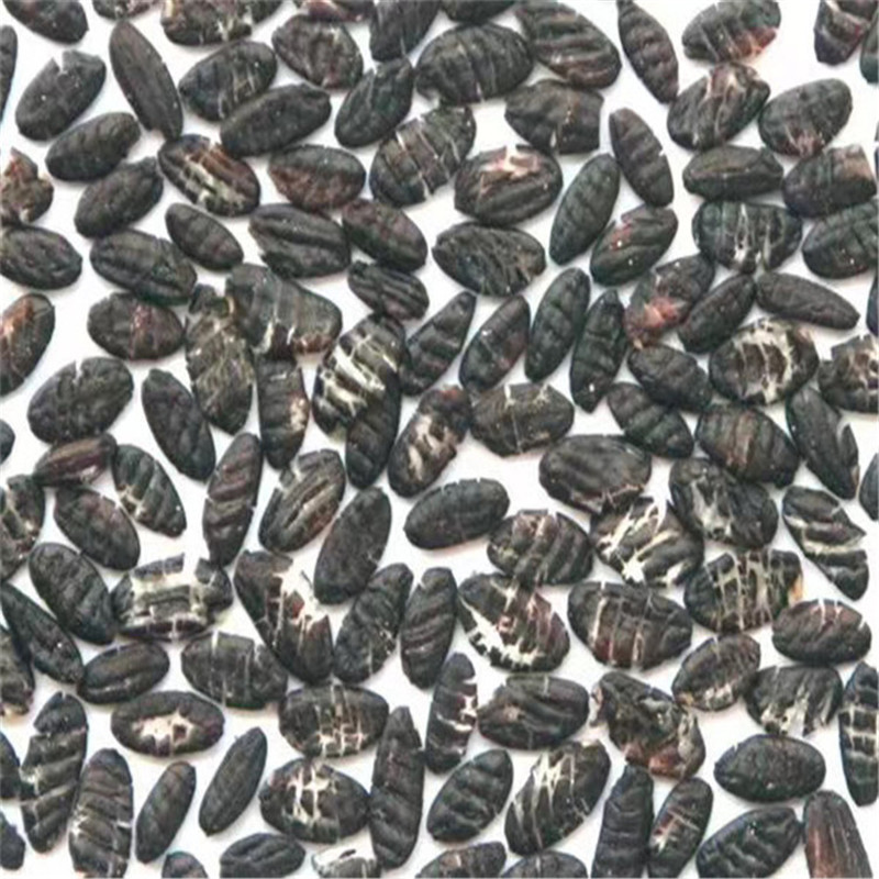 20型挤扁机出售小型粮食破碎机五谷杂粮豆扁机厂家