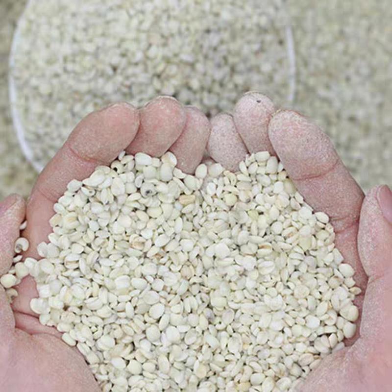 【优质】薏米碎瓣碎薏米批发厂家直发货源充足