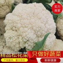 河南精品有机花菜，河南菜花，青梗白面，诚信经营代发全国。