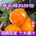 湖北宜昌长虹脐橙纽何尔脐橙产地直销欢迎来电咨询