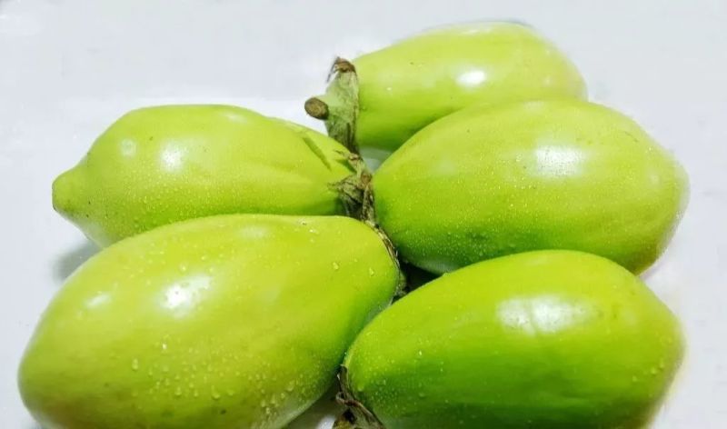 【精品】茄子原产地直供辽宁青茄大量上市量大从优