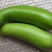【精品】茄子原产地直供辽宁青茄大量上市量大从优
