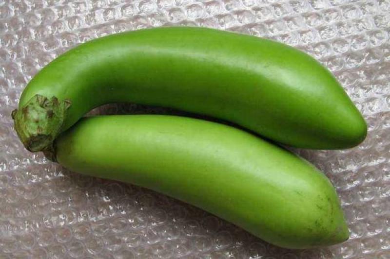 【精品】茄子原产地直供辽宁青茄大量上市量大从优