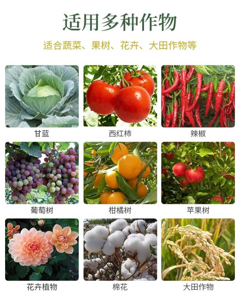 25%噻虫嗪白粉虱蚜虫跳甲蓟马稻飞虱蔬菜花卉果树25kg