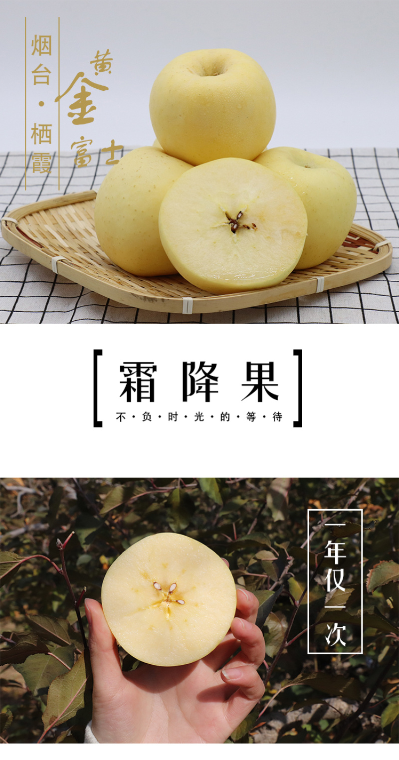 奶油富士苹果电商一件代发烟台栖霞产地直发高品质全渠道代发