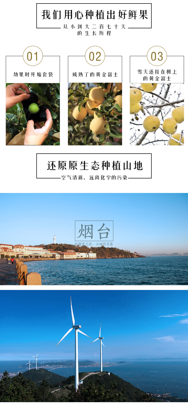 奶油富士苹果电商一件代发烟台栖霞产地直发高品质全渠道代发