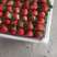 奶油草莓宁玉草莓妙香草莓,产地货源。对接全国客商