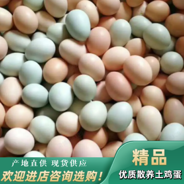 【牛商商家】土鸡蛋，开产蛋，初生蛋，山林散养，欢迎来电