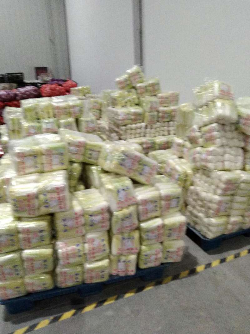 基地直销精品黄心娃娃菜对接商超，餐饮，量大从优