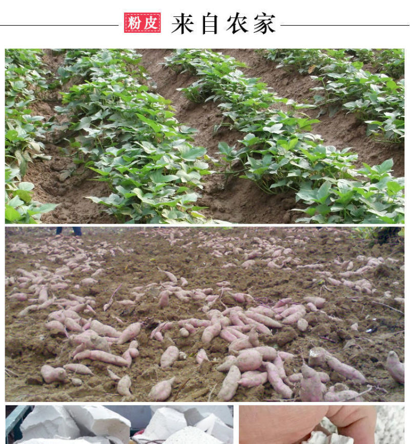 安徽界首特产红薯粉5斤正宗纯手工地瓜粉皮
