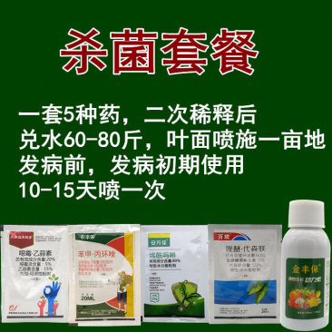 大蒜洋葱大葱韭菜干尖黄叶叶枯疫病黄疸红斑点锈病杀菌剂套餐