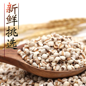 天然小薏米仁薏米薏仁米苡米仁500g农家自产做粥粗粮