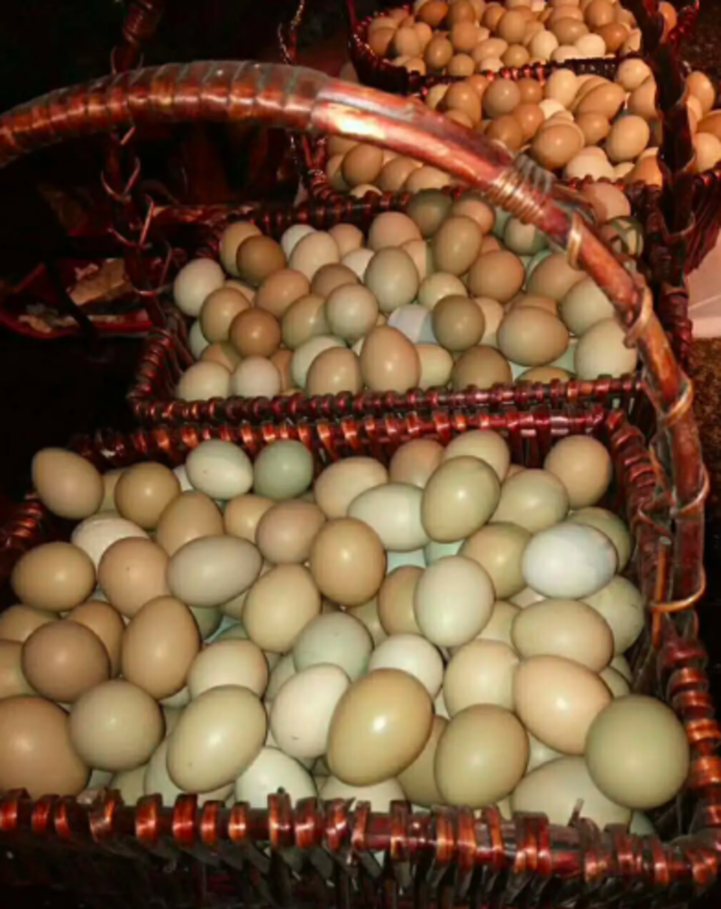 野鸡蛋，包装好，质量有保证，现检现拾，保证新鲜的，物流发