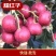新鲜山楂果大金星，大五棱，歪把红，大棉球，甜红子一件代发