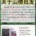 新鲜山楂果大金星，大五棱，歪把红，大棉球，甜红子一件代发