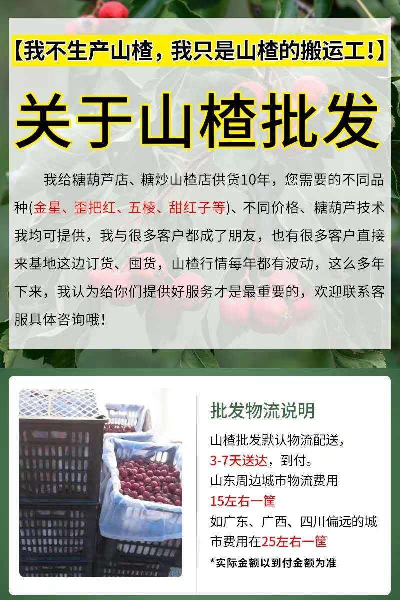 新鲜山楂果大金星，大五棱，歪把红，大棉球，甜红子一件代发