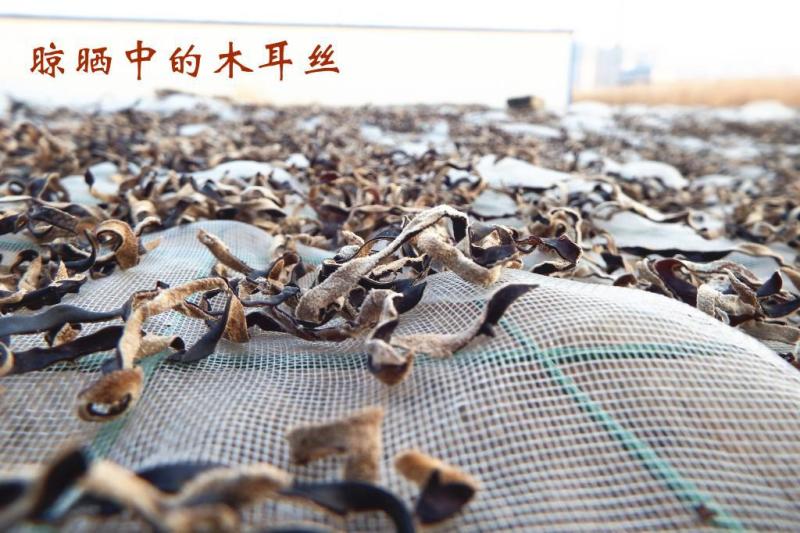 干木耳丝干货商用黑木耳白背木耳丝米粉螺蛳粉拉面米线店优