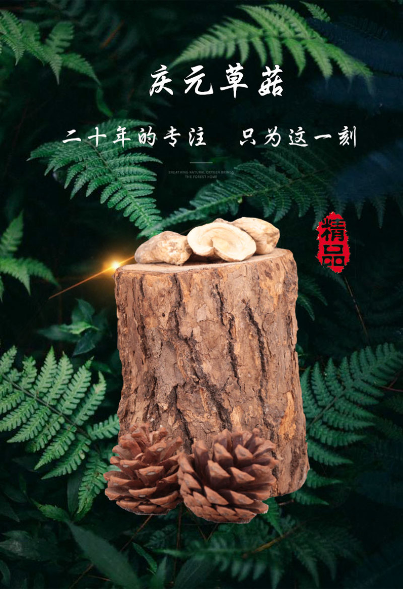 益尔食用菌新货庆元农家草菇干货土特产草菇菌兰花菇