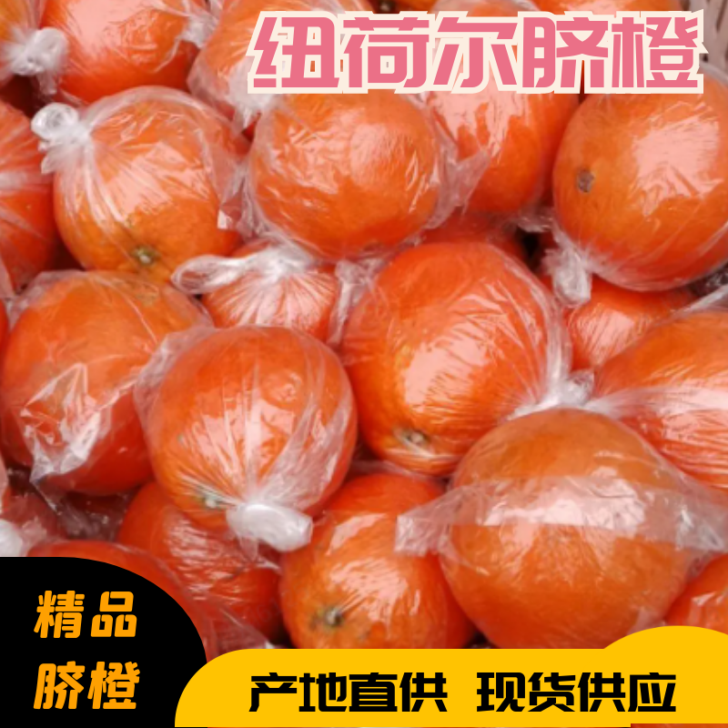 湖南湘西精品纽荷尔脐橙~大量上市中好货不容错过价格实惠